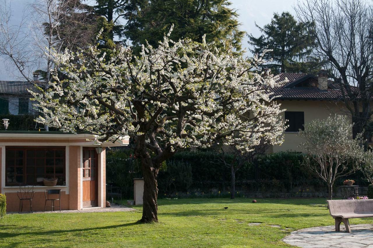 Casetta Del Molo Mandello del Lario Eksteriør billede
